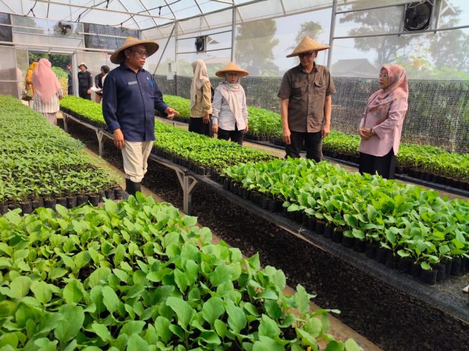 
					Di Bawah Kepemimpinan Rudy Susmanto, Distanhorbun Bogor Genjot Produksi Cabai Lewat Distribusi Puluhan Ribu Bibit kepada Kelompok Tani